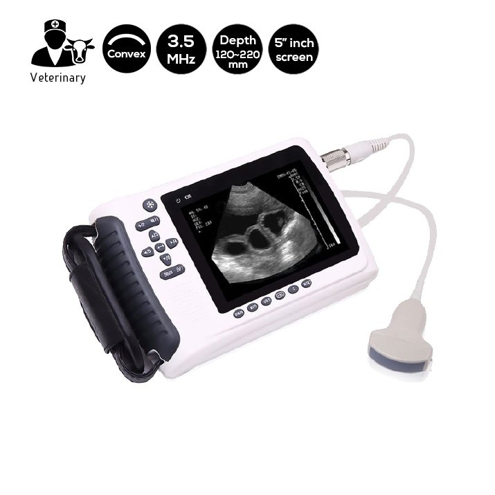 Probe Scanner Ultrasound Hewan Genggam SIFULTRAS-4.5 utama