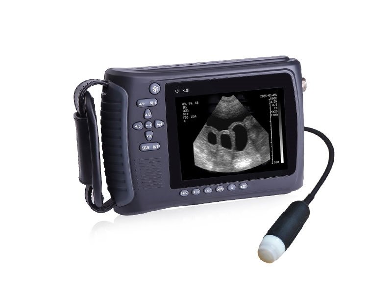 SIFULTRAS-4.4 Veterinary Handheld Sector Probe Ultrasound Scanner, 3.5 Mhz