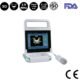 3D Bladder Ultrasound Scanner SIFULTRAS-5.55
