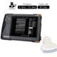 Portable Veterinary Ultrasound Scanner 2-10MHz Waterproof SIFULTRAS-4.2.