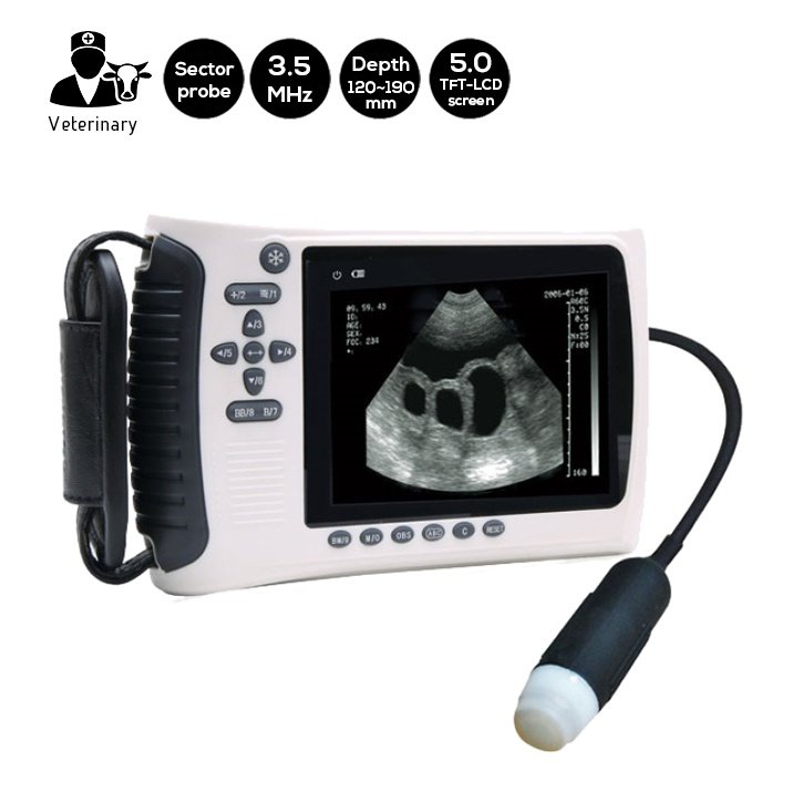 SIFULTRAS-4.4 Veterinary Handheld Sector Probe Ultrasound Scanner, 3.5 Mhz main
