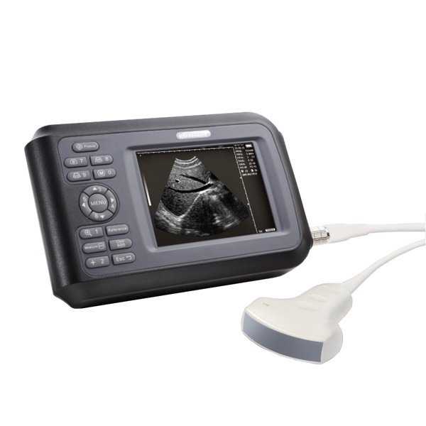 Portable Veterinary Ultrasound Scanner 3.5 - 5 MHz - SIFULTRAS-4.41 veterinary US