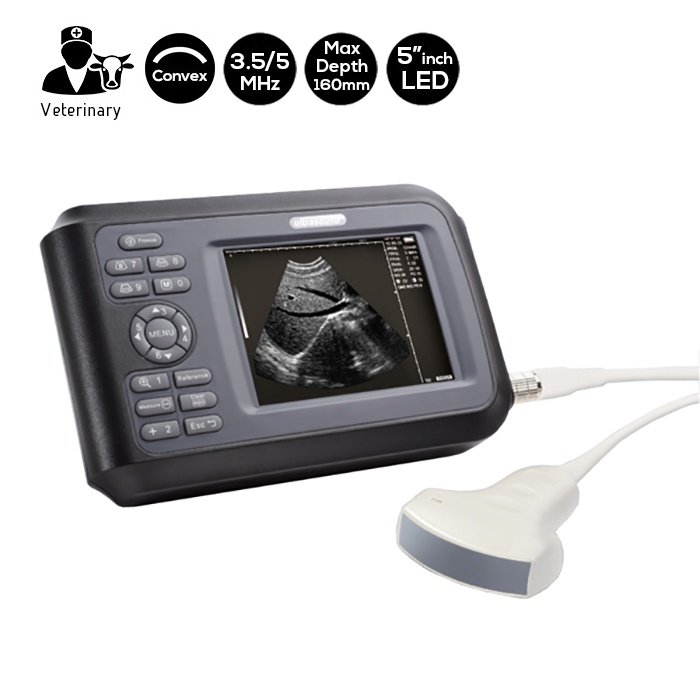 Portable Veterinary Ultrasound Scanner 3.5 - 5 MHz - SIFULTRAS-4.41 main