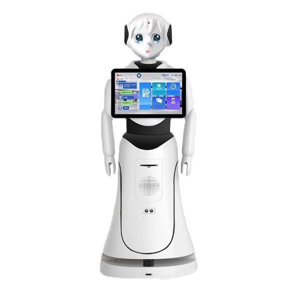 Intelligent Humanoid Reception Telepresence Robot SIFROBOT-5.0