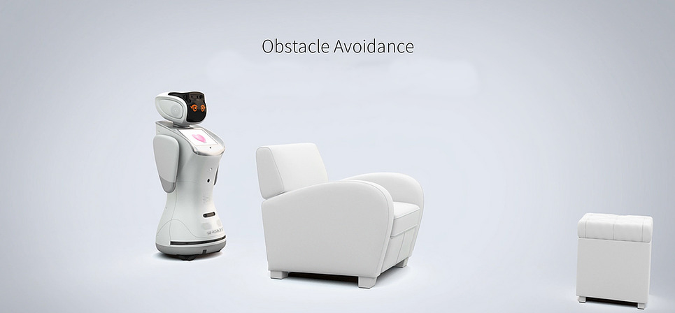 Humanoid Telepresence Robot: SIFROBOT-4.21