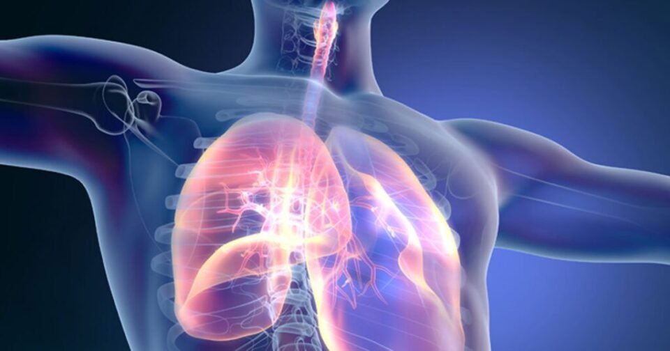 Vein Finders assessing lung disorders treatment