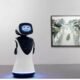 The Word of Business and Telepresence Robots