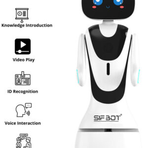 Humanoid Intelligent Service Robot SIFBOT-4.22