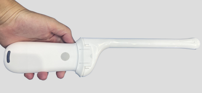 Pelvic ultrasound scanner