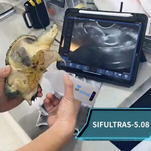 Optimized for Chelonian Reproductive Health & Egg Scanning